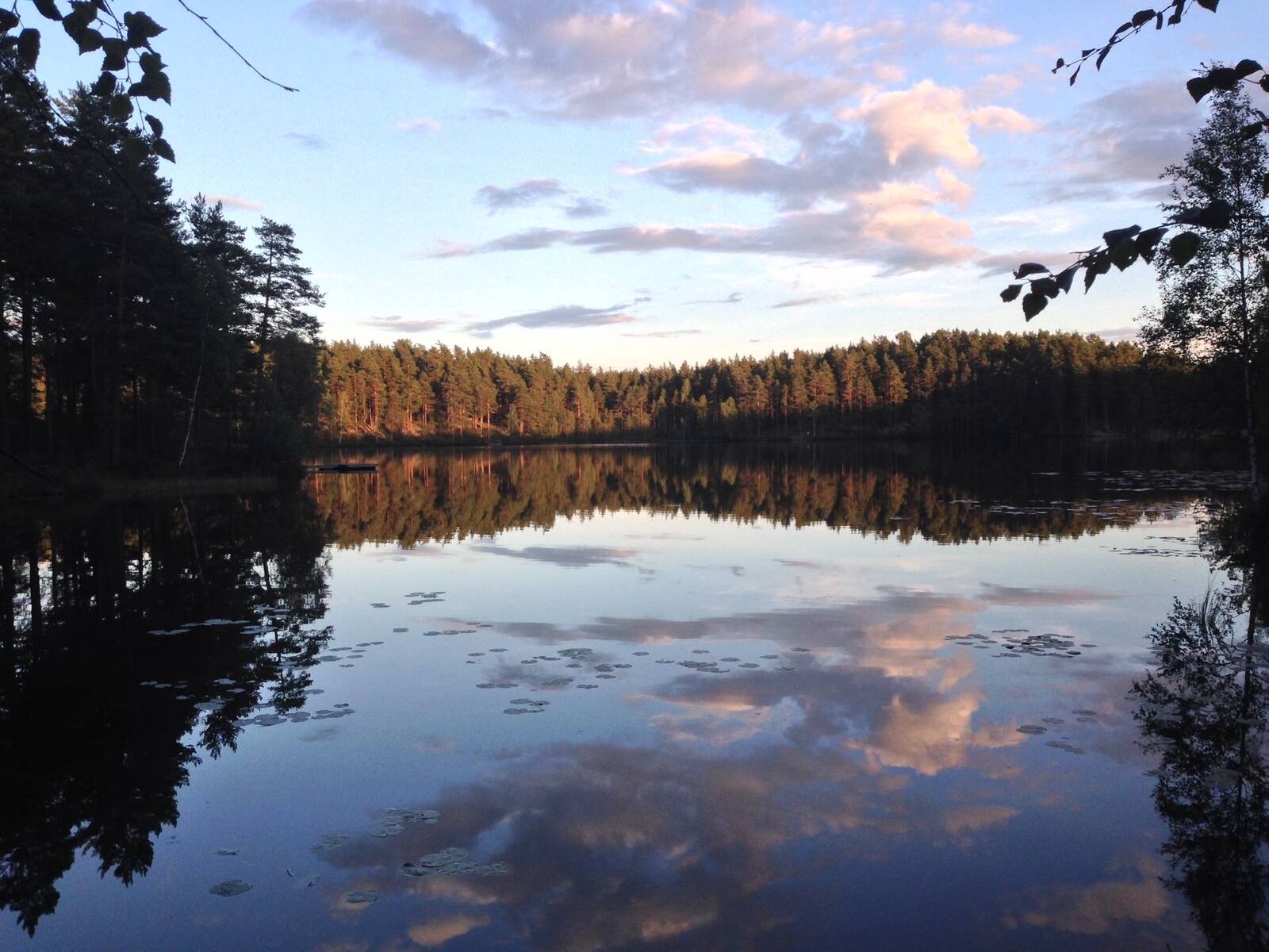 Schweden 2014