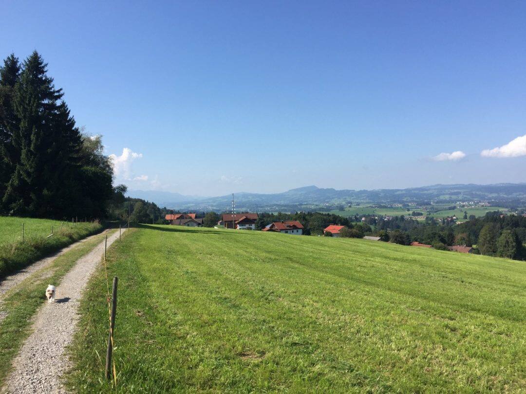 Sulzberg 2016