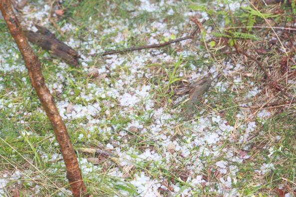 Der Hagel